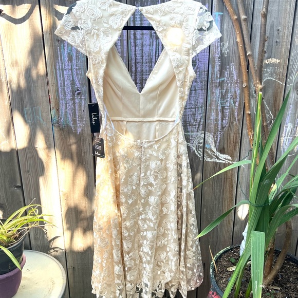 NWT Lulu’s Jaqueline Champagne Floral Embroidered Midi Dress - Picture 7 of 9